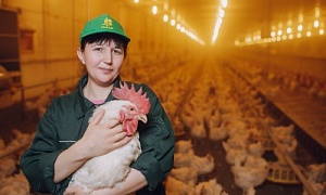 Эксперты ФЦК помогли Челябинской птицефабрике увеличить объемы производства почти вдвое Эксперты ФЦК помогли Челябинской птицефабрике увеличить объемы производства почти вдвое